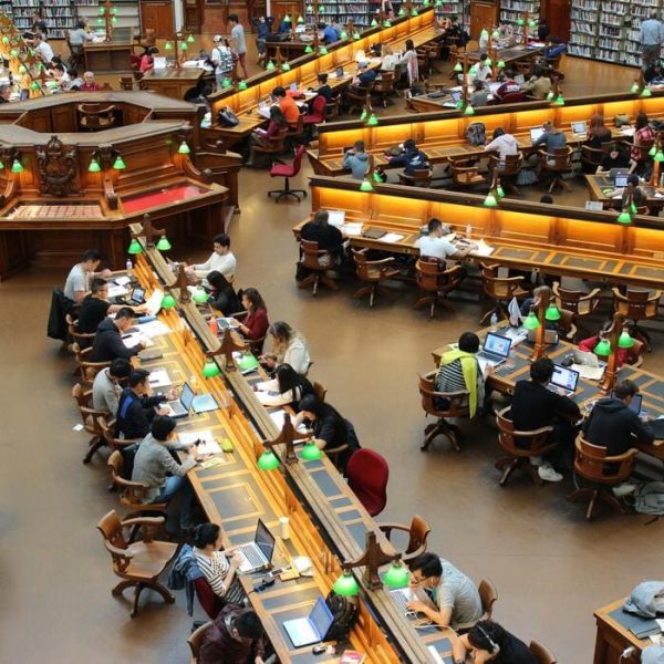 Donnez de la Force à Votre Parcours éducatif