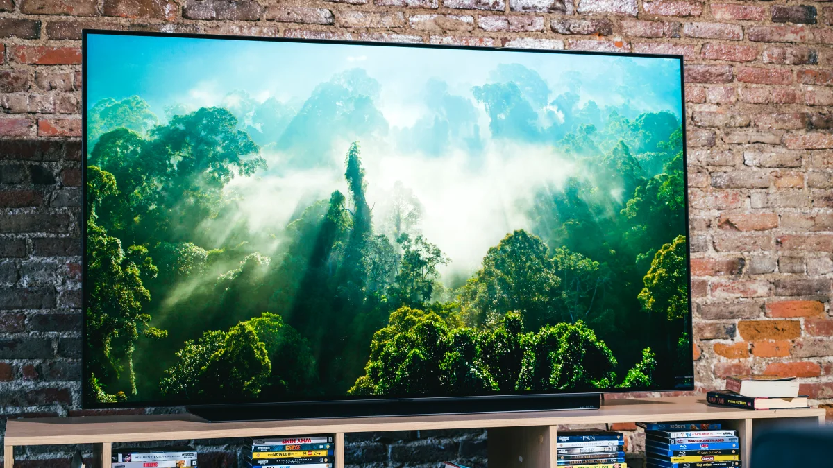 65 Inch Smart TV: To know more about this big screen TV